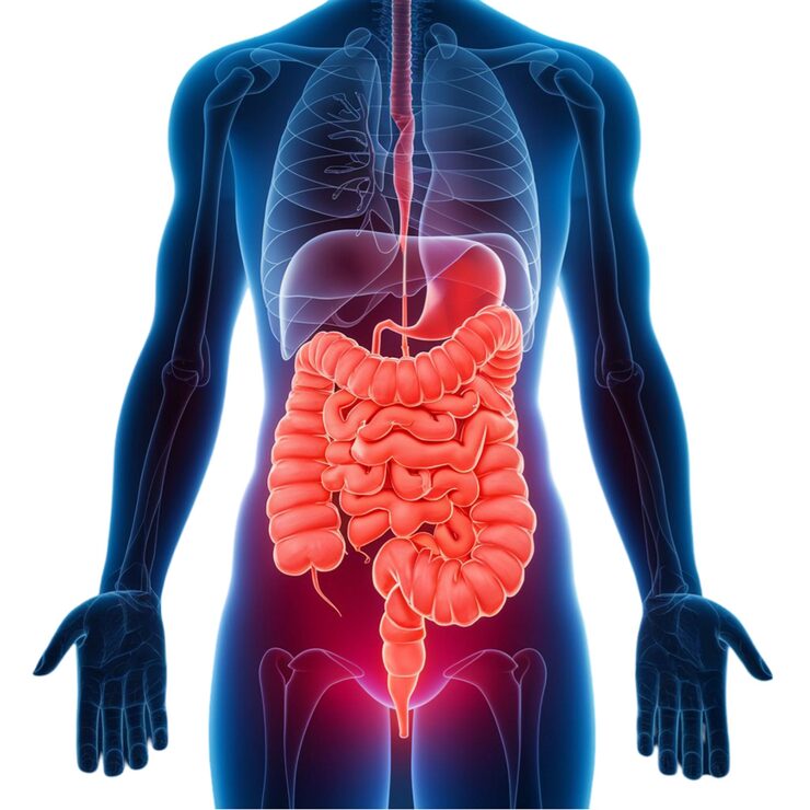 Hepatologist in Rajkot
